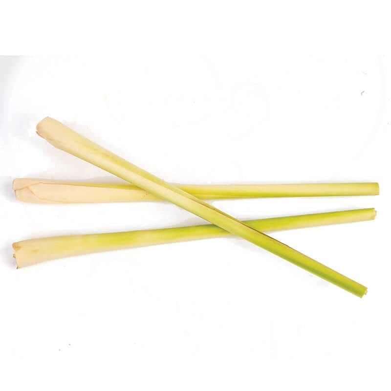 Limon Kamışı (Lemongrass)